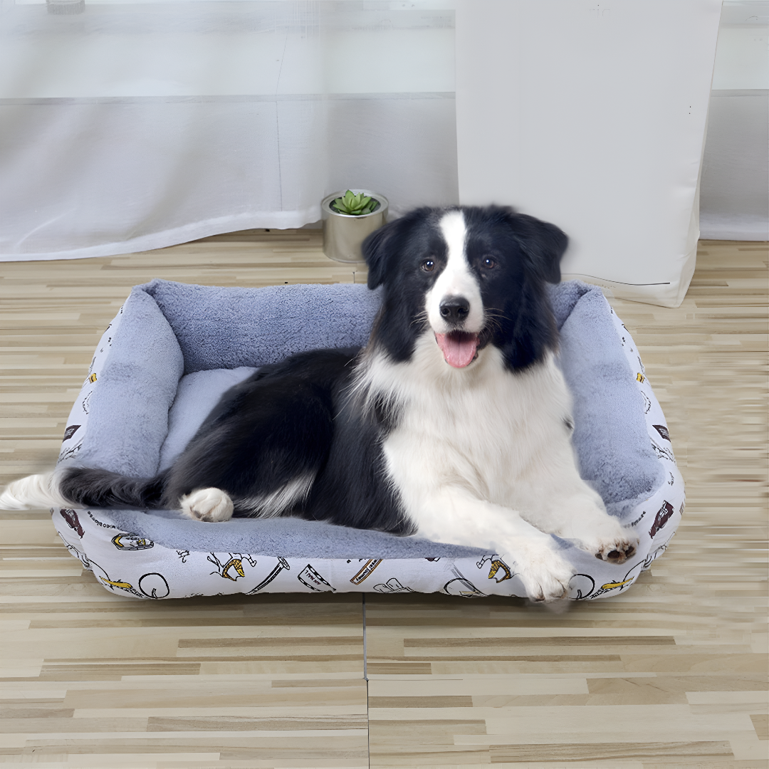 Creating the Perfect Space for Your Pet