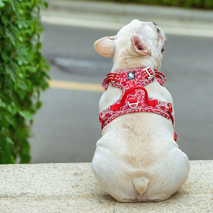 Discover the Perfect Pet Dog Leash Set Vest Type Chest Harness