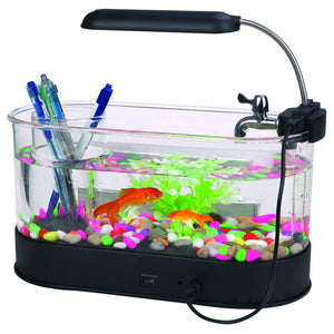 Discover the Inner Loop Mini Desktop USB Fish Tank