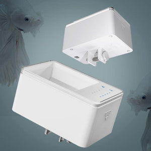 Revolutionize Your Fish Feeding Experience