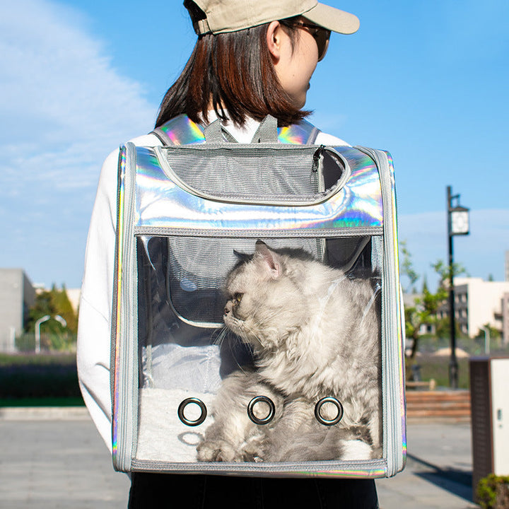 Discover the Perfect Companion for Your Pet Adventures!