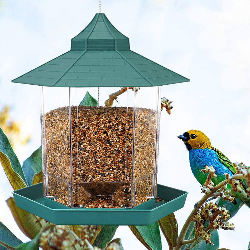 Lanyard Rope Bird Feeder: Your Gateway to a Vibrant Garden