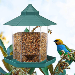 Lanyard Rope Bird Feeder: Your Gateway to a Vibrant Garden