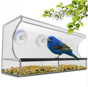 Discover the New Acrylic Feeder: The Perfect Addition to Your Pet's Dining Experience