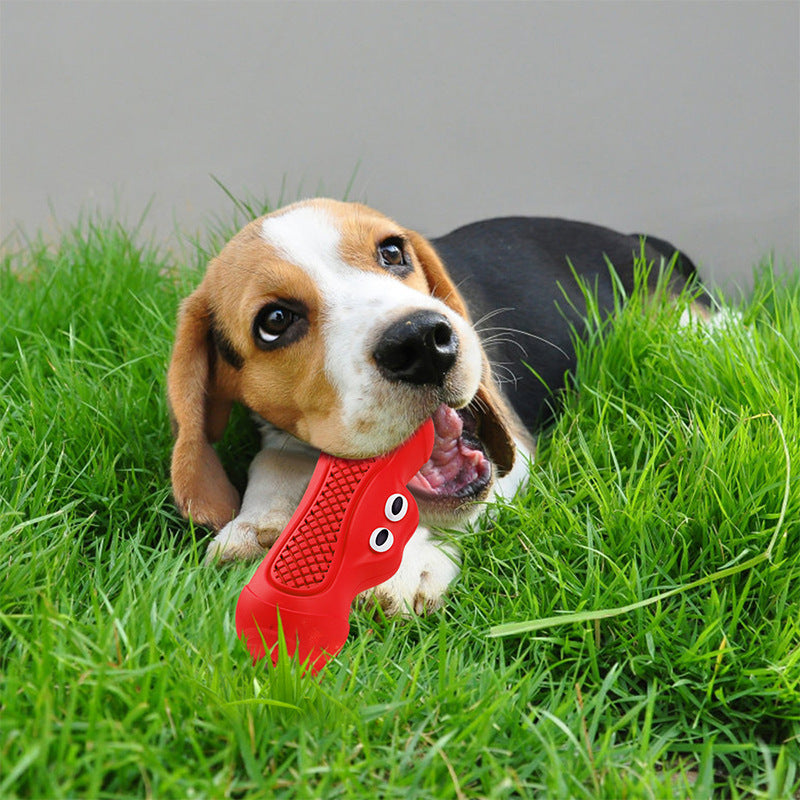 Unleash the Fun with Vocal Rugby Pet Toys