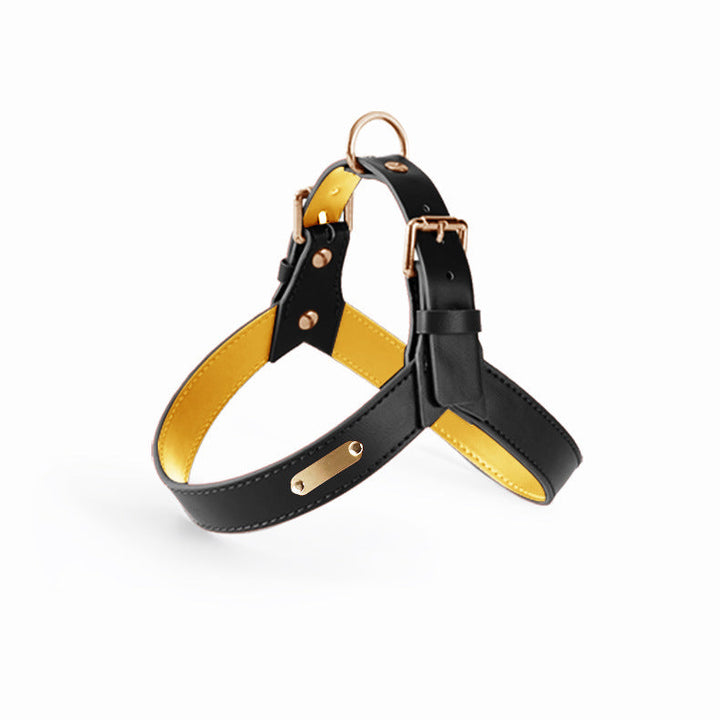 Elevate Your Pet's Outdoor Experience with Our Summer Pet Dog and Cat Vest Type Chest Harness Leash