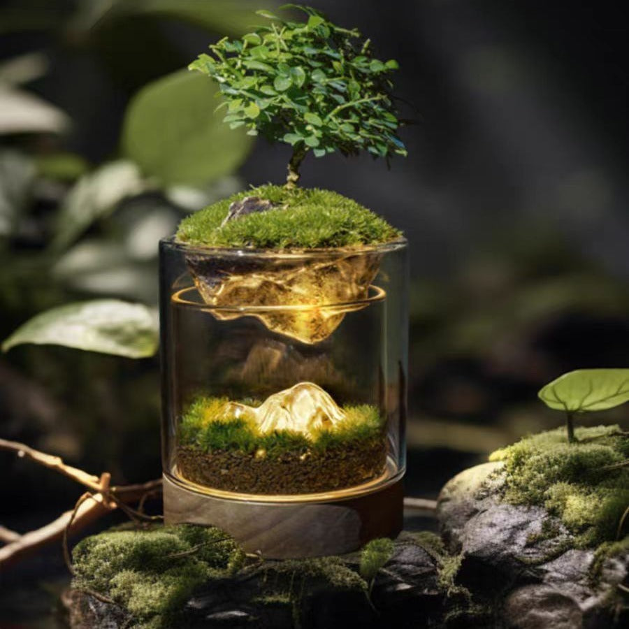 Transform Your Workspace with Our Moss Micro Landscape Glass Flower Container