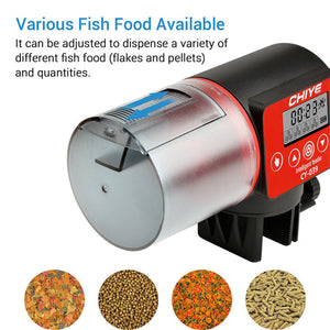 Why You Need the Intelligent Timing Automatic Fish Tank Feeder