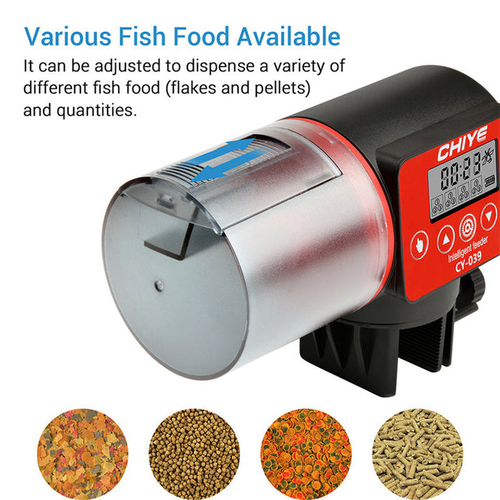 Why You Need the Intelligent Timing Automatic Fish Tank Feeder