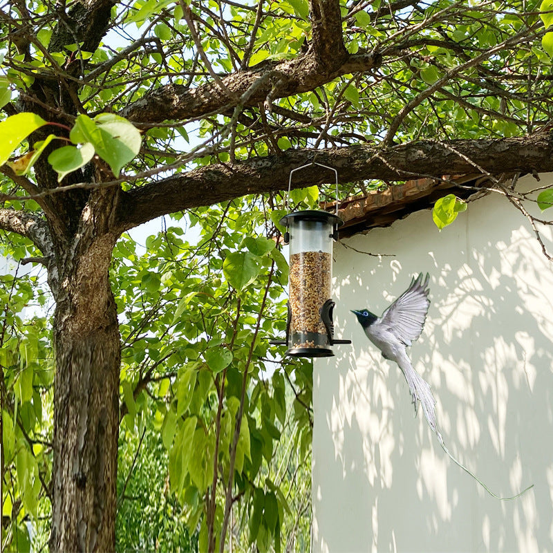 Discover the Joy of Birdwatching with Our Outdoor Bird Feeder
