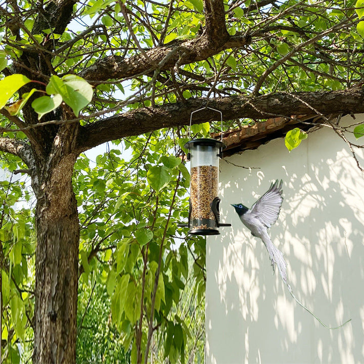Discover the Joy of Birdwatching with Our Outdoor Bird Feeder
