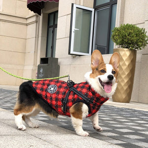 Keep Your Pet Cozy This Season with Our Autumn and Winter Clothing