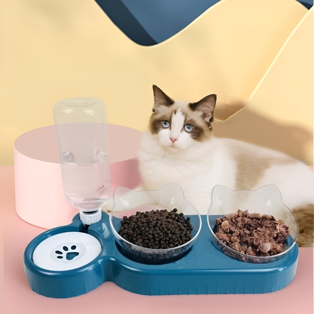 Feeding, Walking, and Caring the Right Way