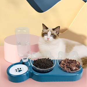 Feeding, Walking, and Caring the Right Way