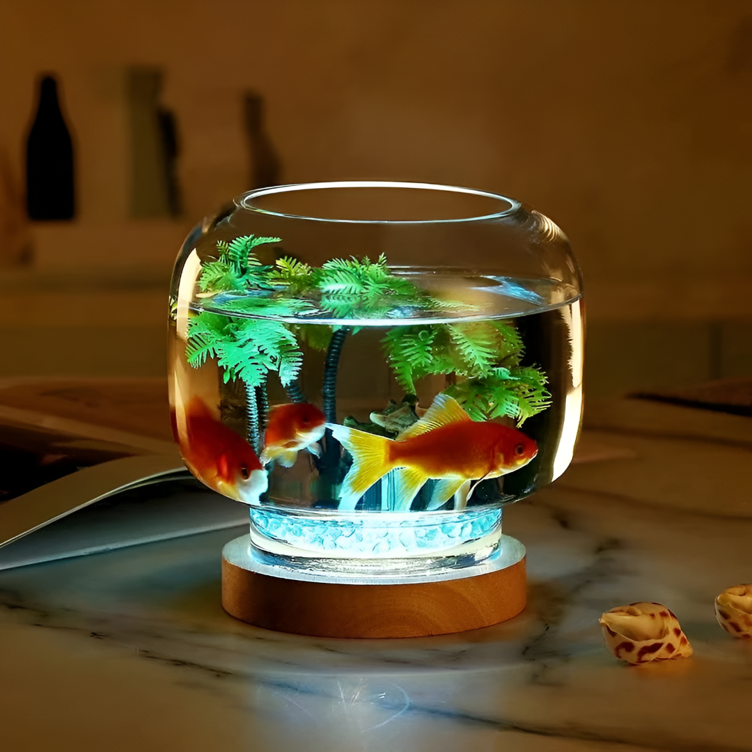 Creating the Perfect Home for Your Fish