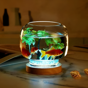 Creating the Perfect Home for Your Fish