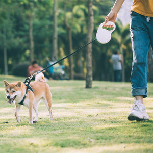 Unleash Adventure with Our Pet Retractable Leash