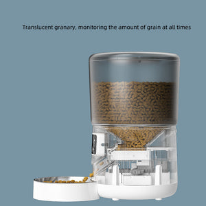 The Ultimate Solution for Pet Feeding: Pet Feeder Cat Automatic Timing Quantitative