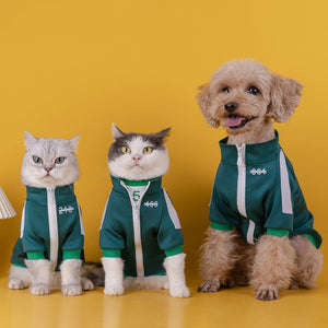The Ultimate Teddy Sweater for Small and Medium-sized Dogs