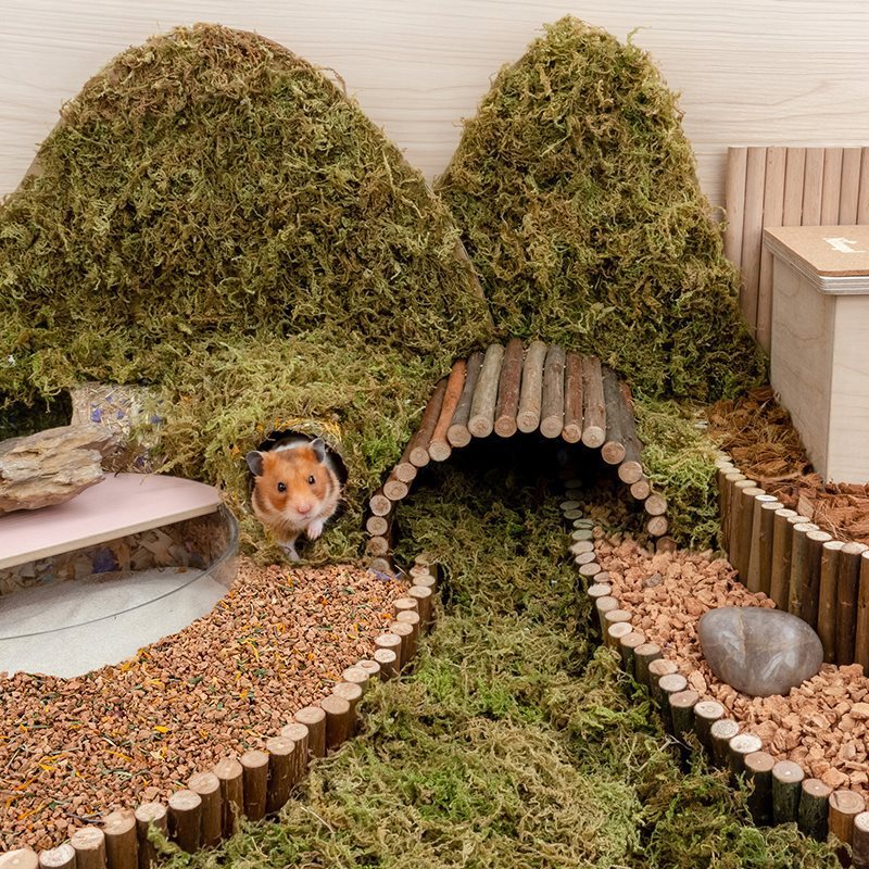 Oak Cork Hamster Digging Dust-free Bedding