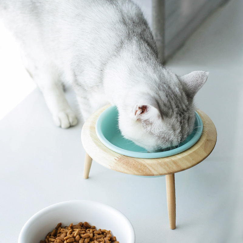 Ceramic cat bowl