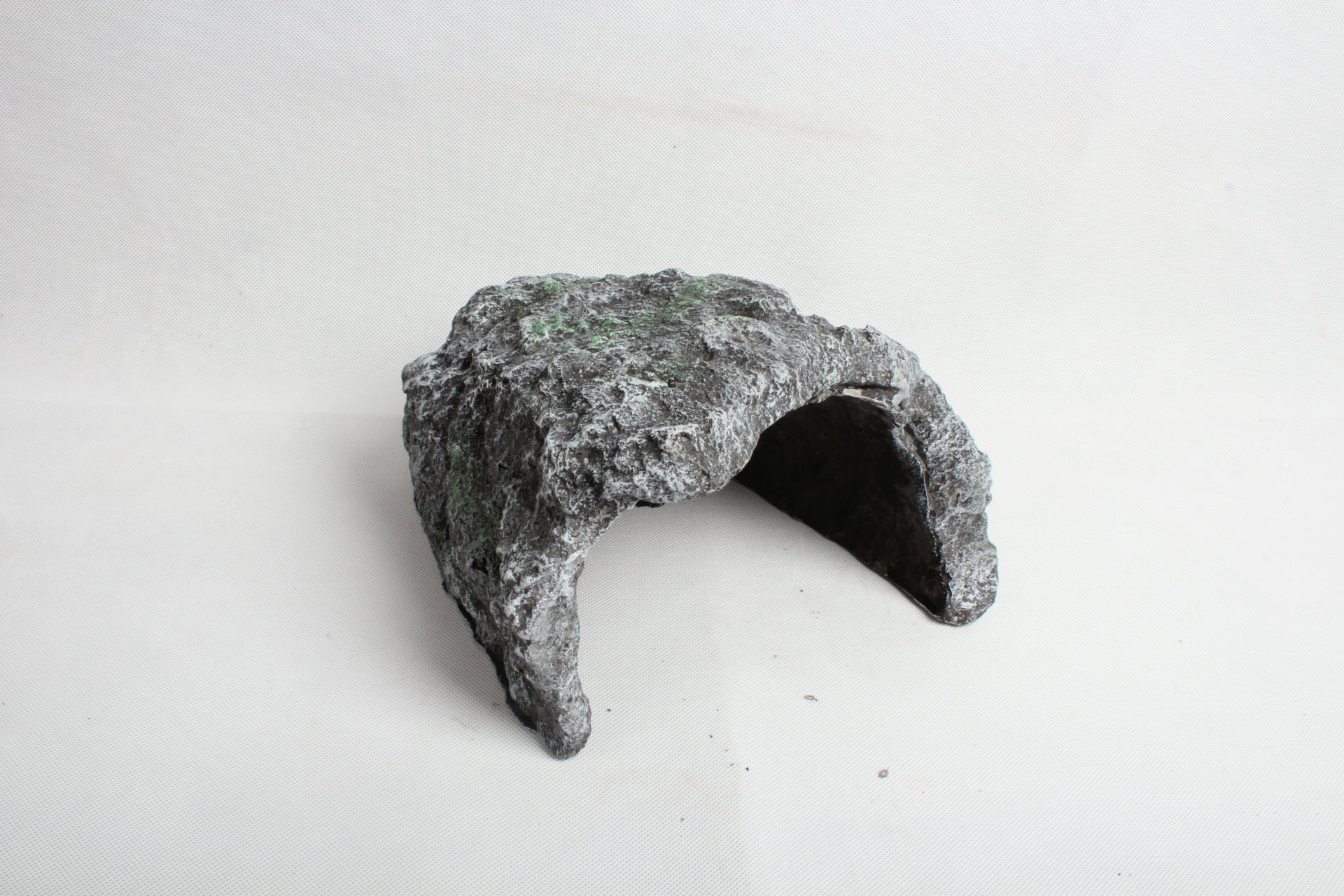 Borozo Reptile Lizard Cave Big Hole