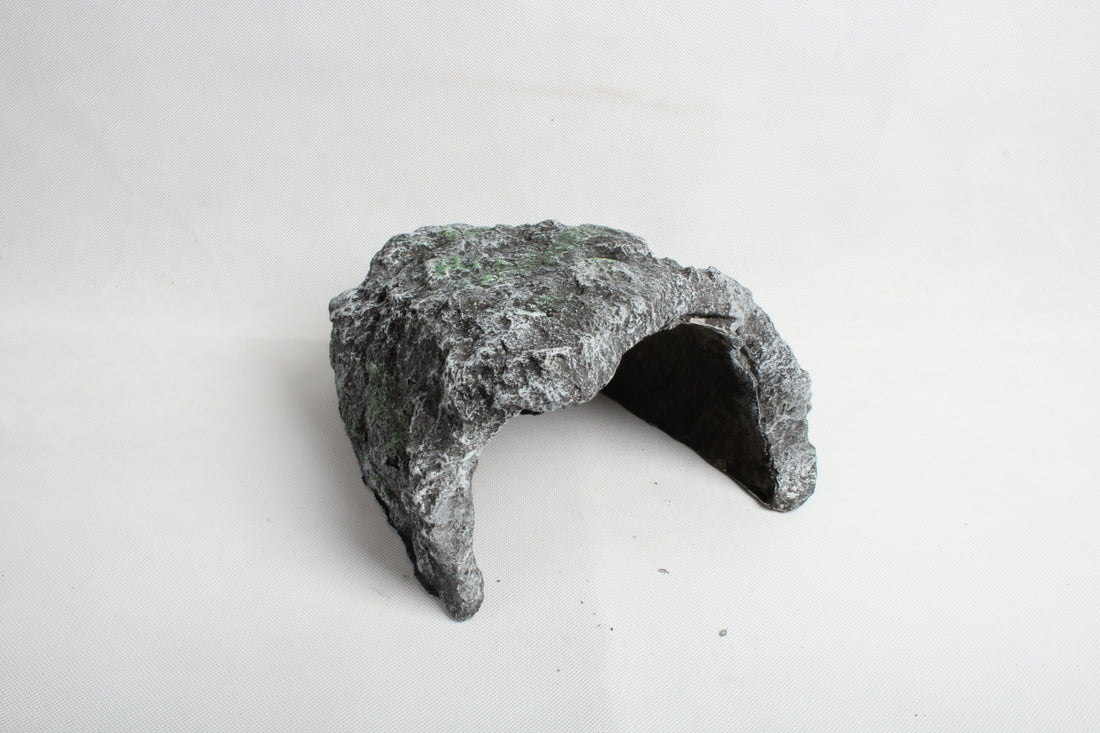 Borozo Reptile Lizard Cave Big Hole