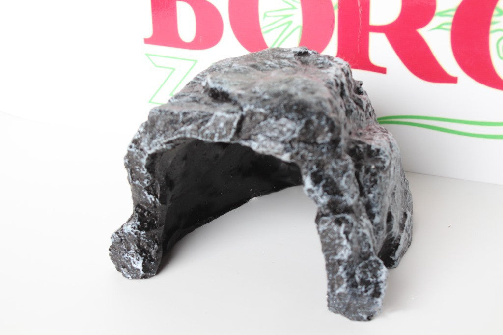 Borozo Reptile Lizard Cave Big Hole