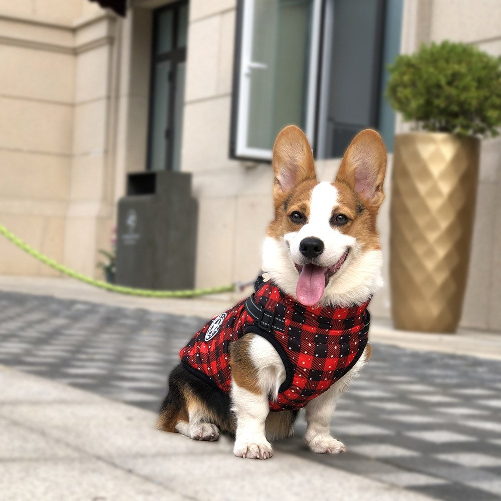 Autumn And Winter Clothing Warm Pet Clothing
