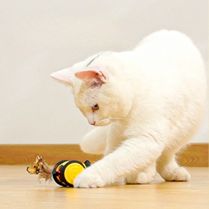 Electric Cat Car Toy Cute Bee Running Kitten Pet Toys