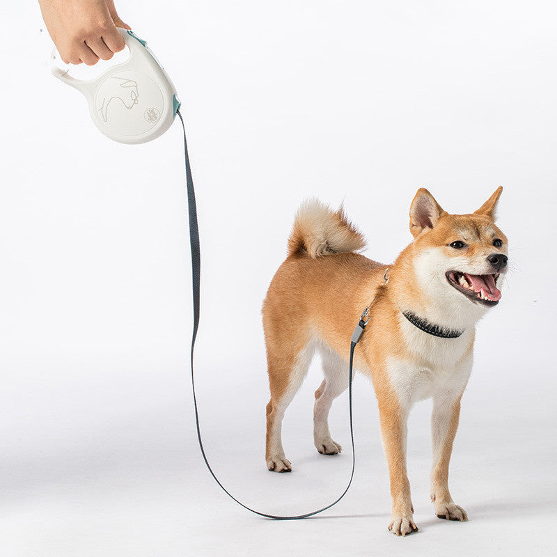 Pet Retractable Leash For Small Dogs