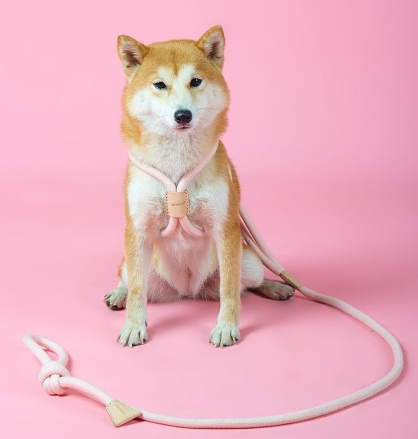 Pet Integrated Round Rope Dog Leash