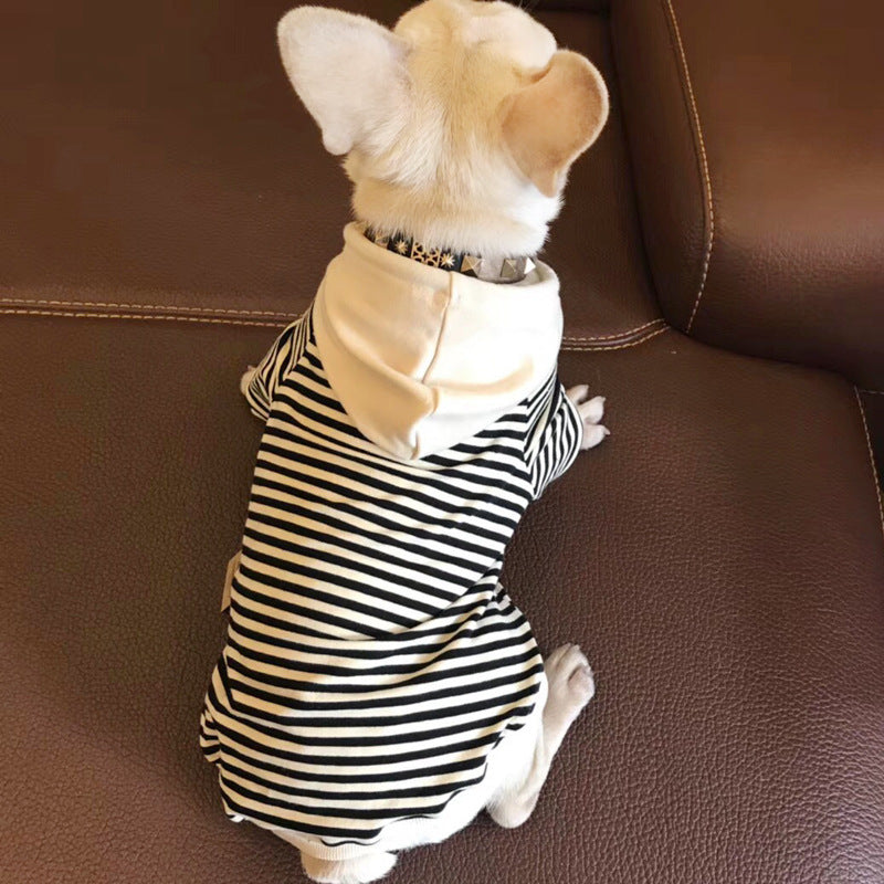 Teddy Small Dog Fashion Brand Clothes