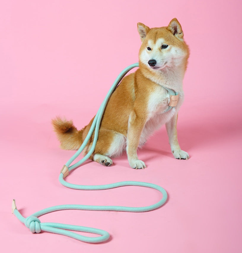 Pet Integrated Round Rope Dog Leash