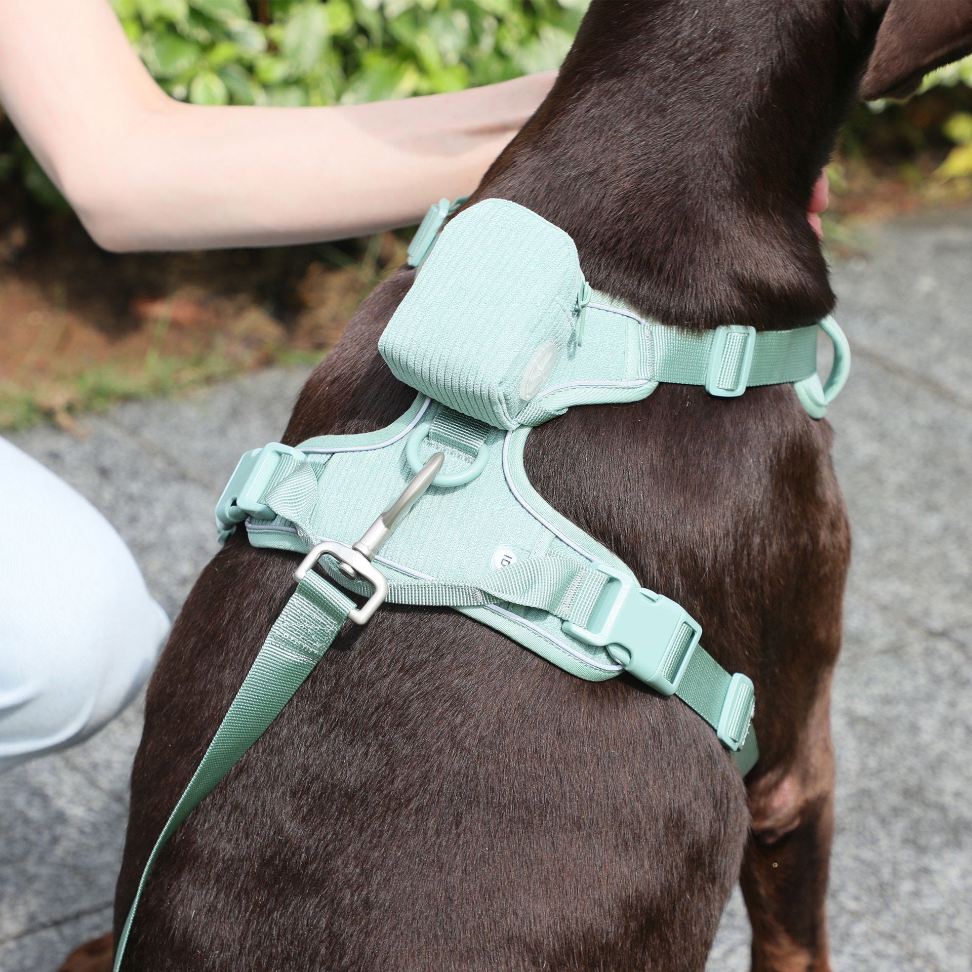 Pet Collar Explosion-proof Dog Vest With Collar