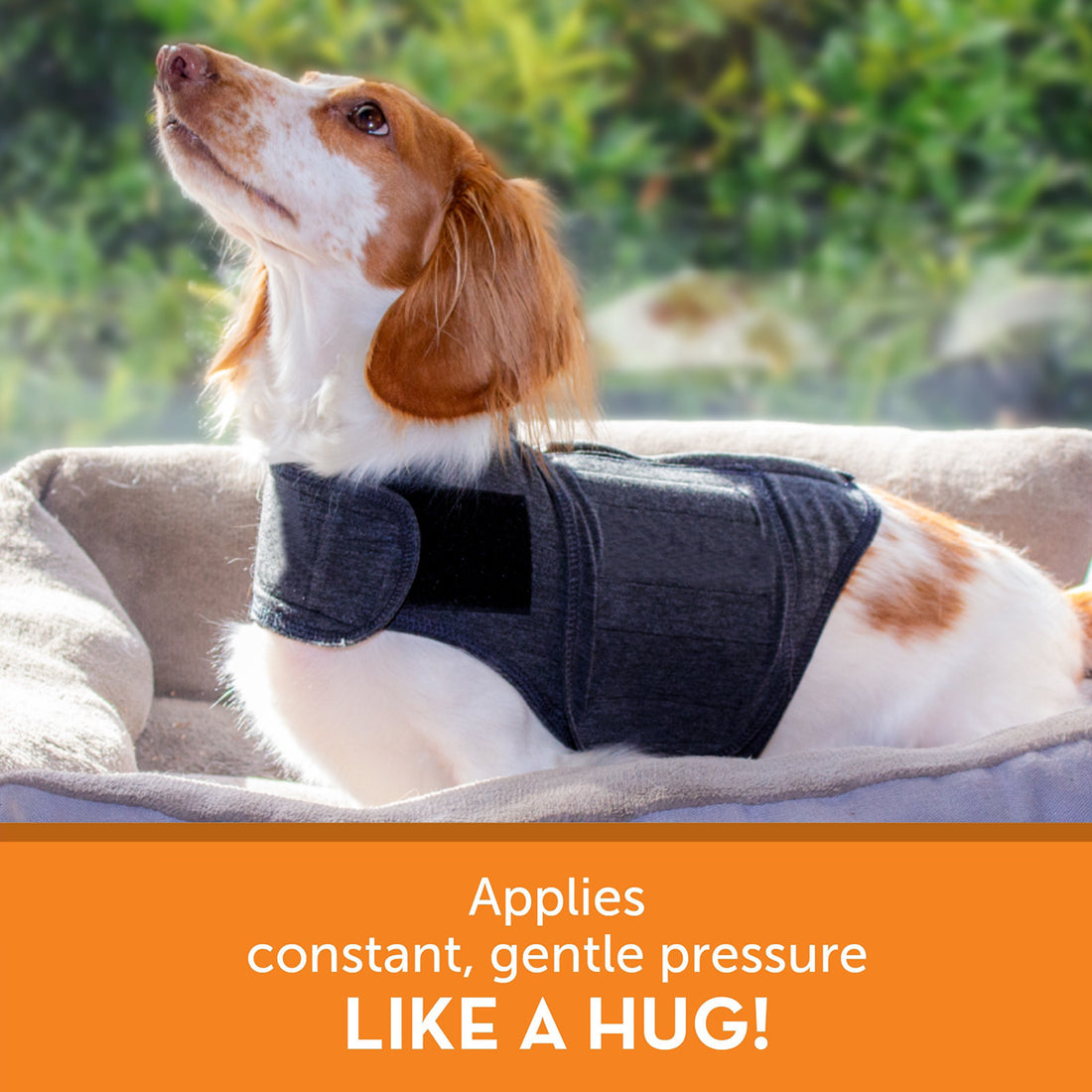 Fashion Dog Clothes Warm Vest