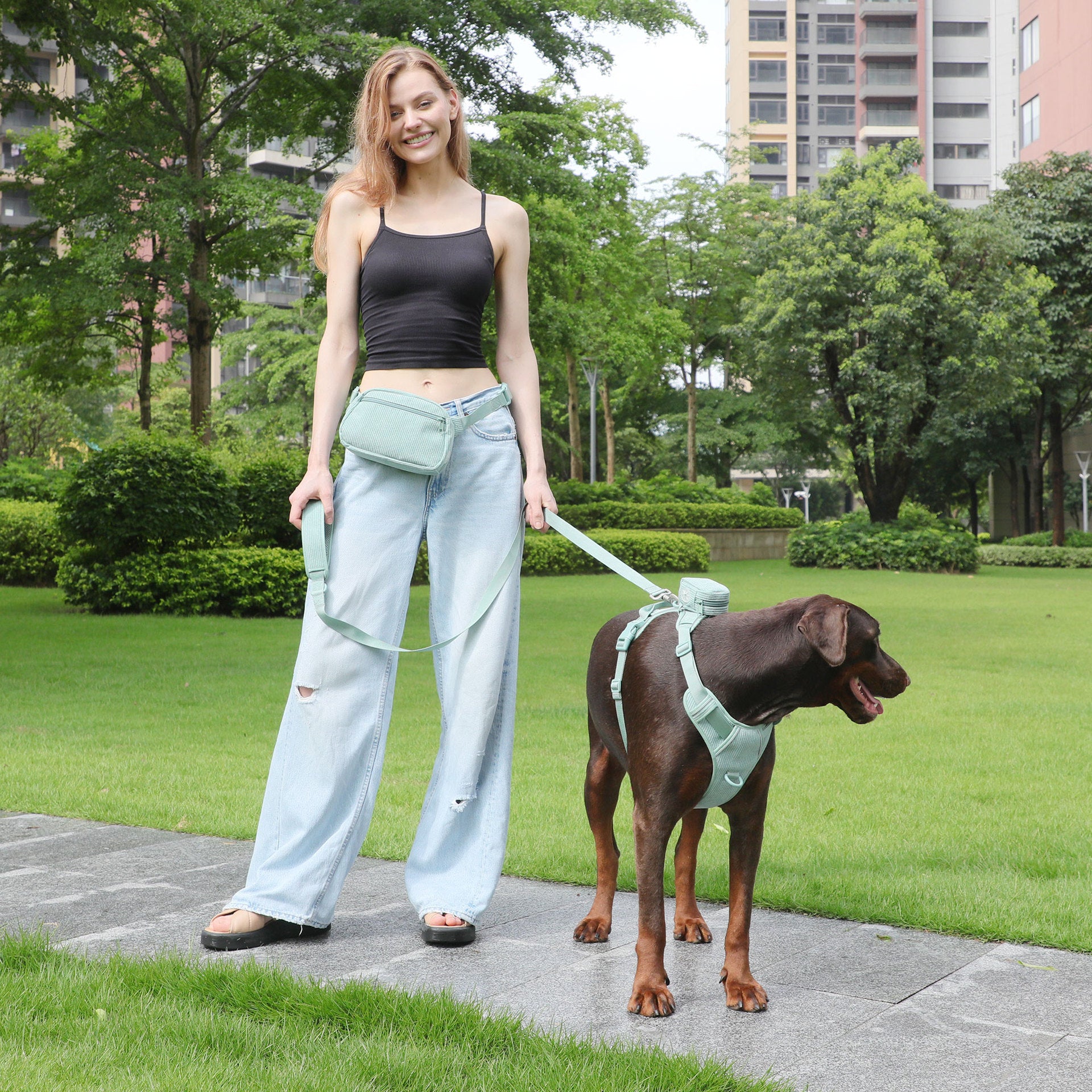 Pet Collar Explosion-proof Dog Vest With Collar