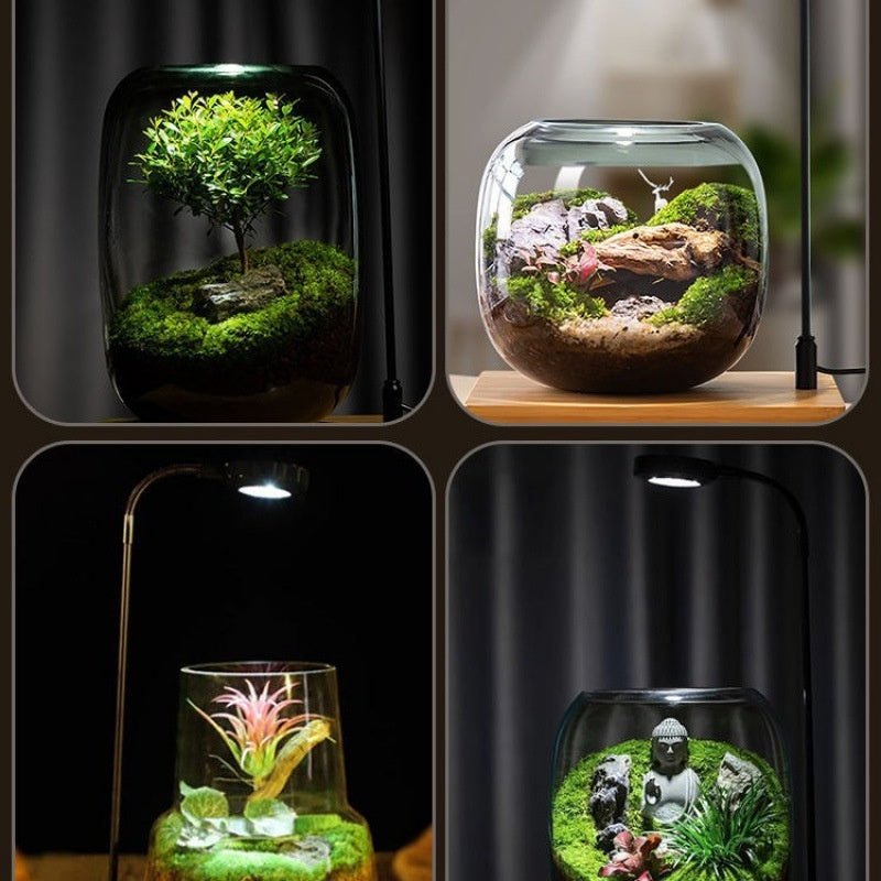 Fish Plant Desktop Water Plant Lamp