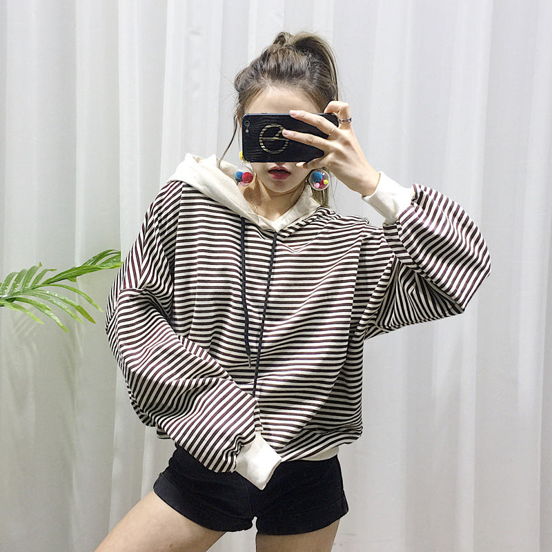 Teddy Small Dog Fashion Brand Clothes