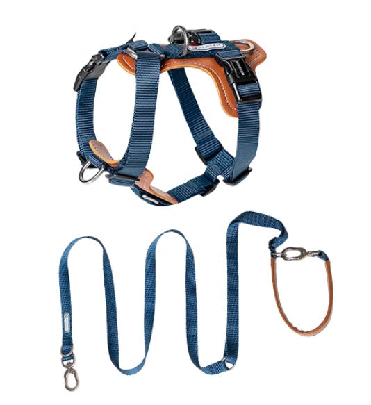 Dog Rope Leash Multifunctional Explosion-proof