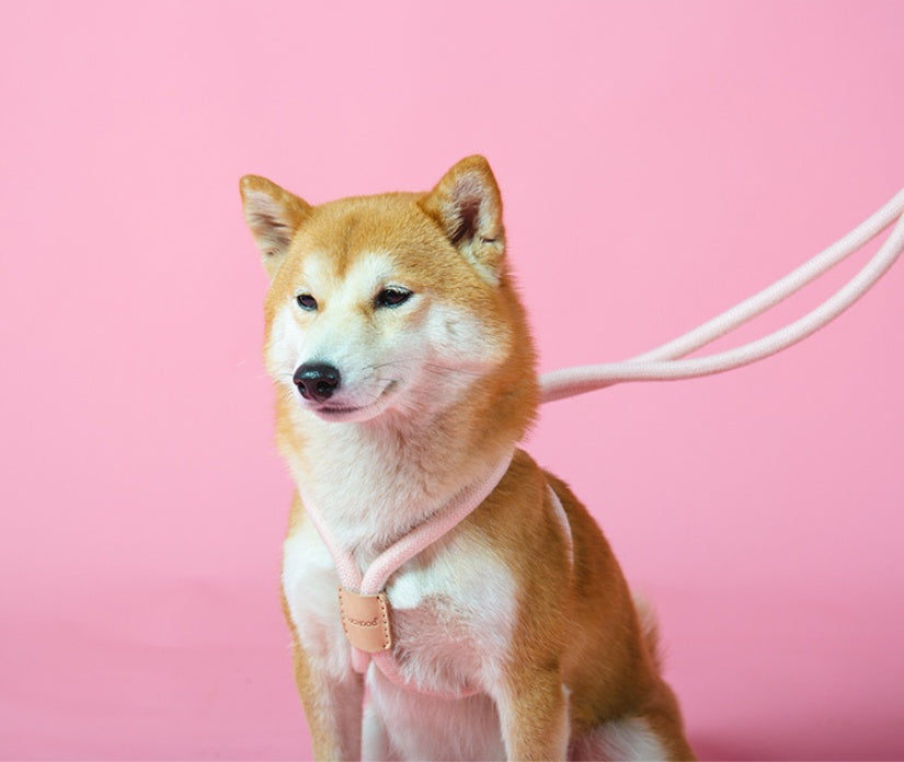 Pet Integrated Round Rope Dog Leash