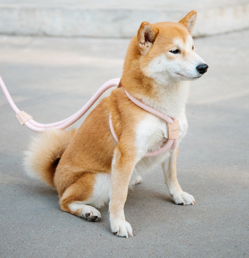 Pet Integrated Round Rope Dog Leash