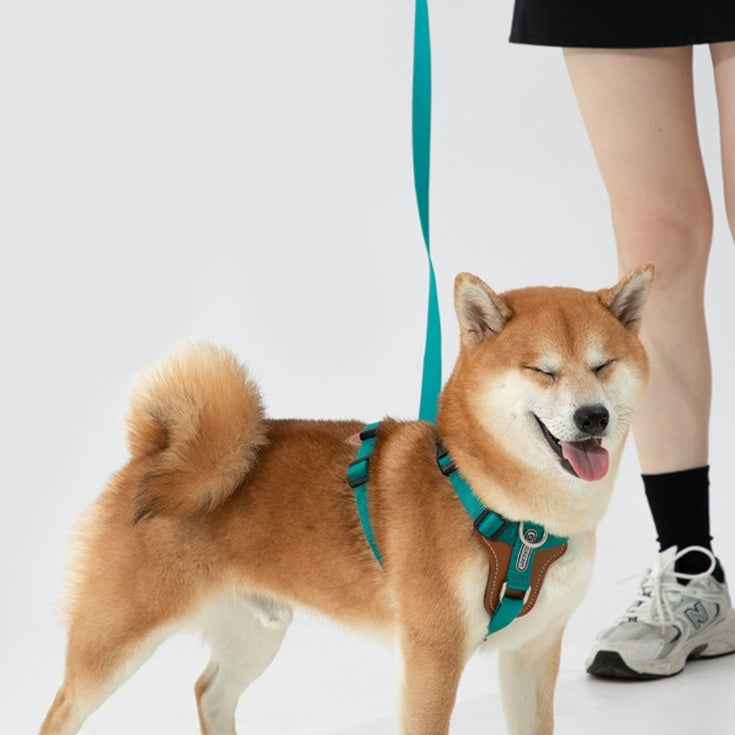 Dog Rope Leash Multifunctional Explosion-proof