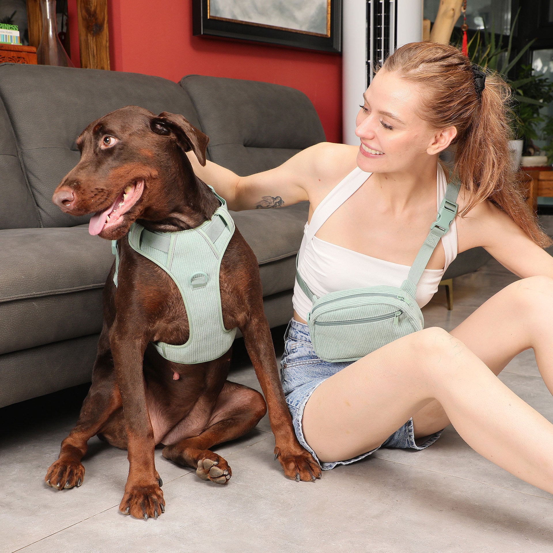 Pet Collar Explosion-proof Dog Vest With Collar