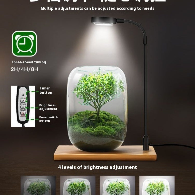 Fish Plant Desktop Water Plant Lamp