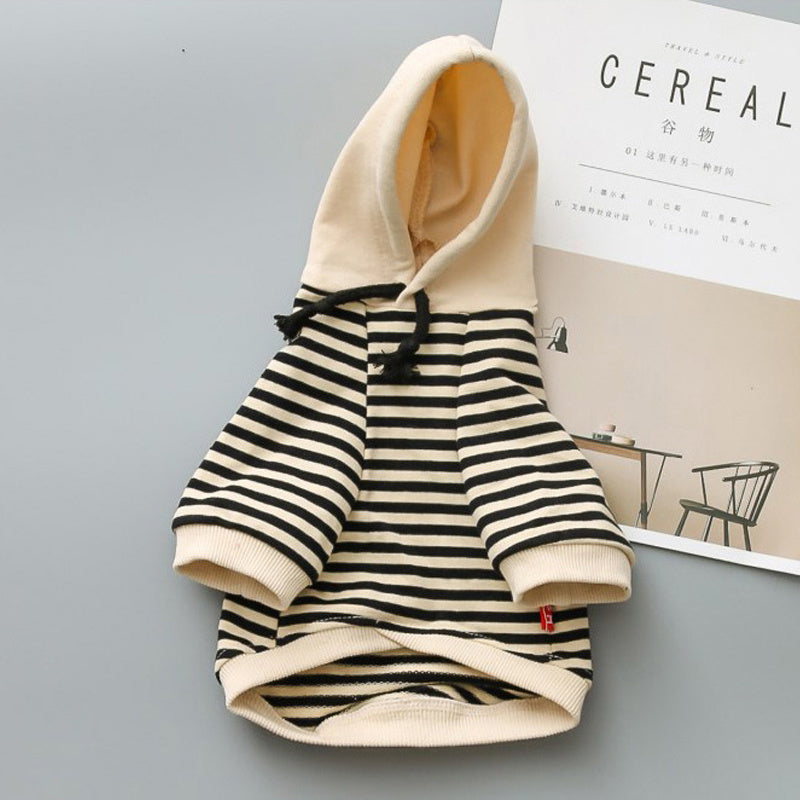 Teddy Small Dog Fashion Brand Clothes