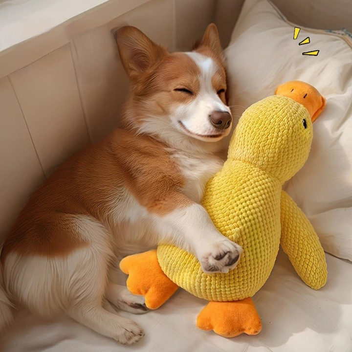 Pet Plush Toy Dog Calming Duck Stuffed Duck Toys
