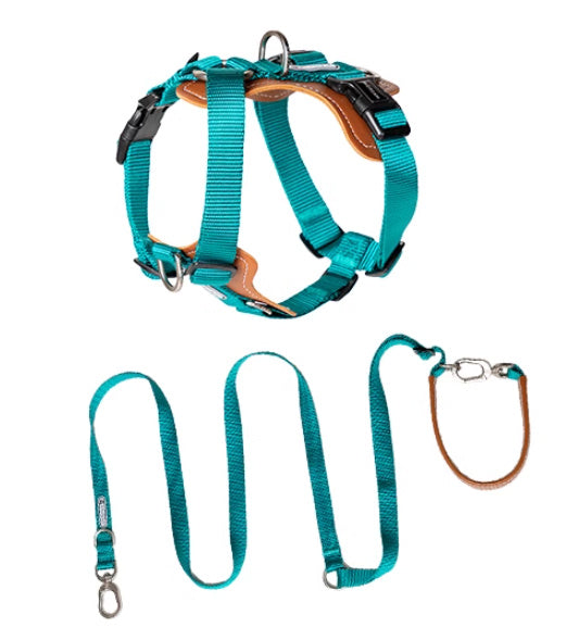 Dog Rope Leash Multifunctional Explosion-proof
