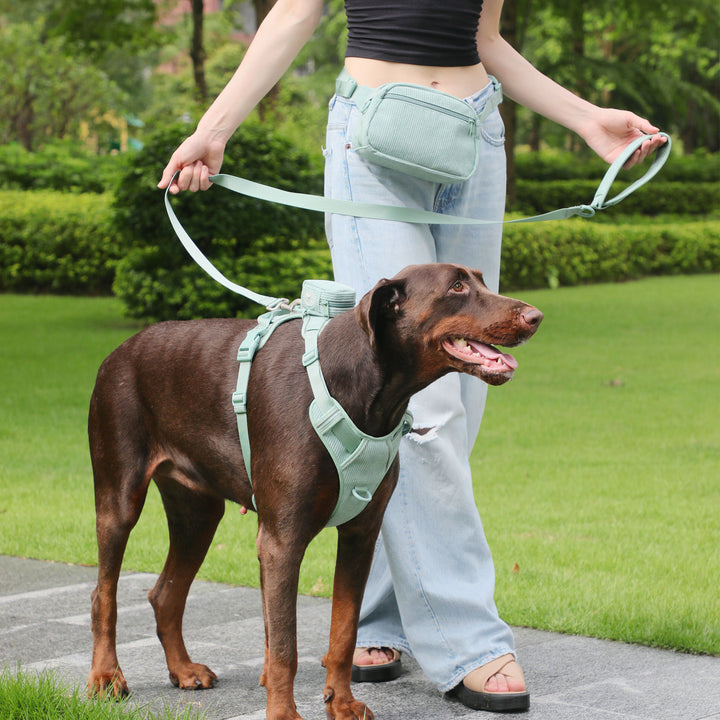Pet Collar Explosion-proof Dog Vest With Collar
