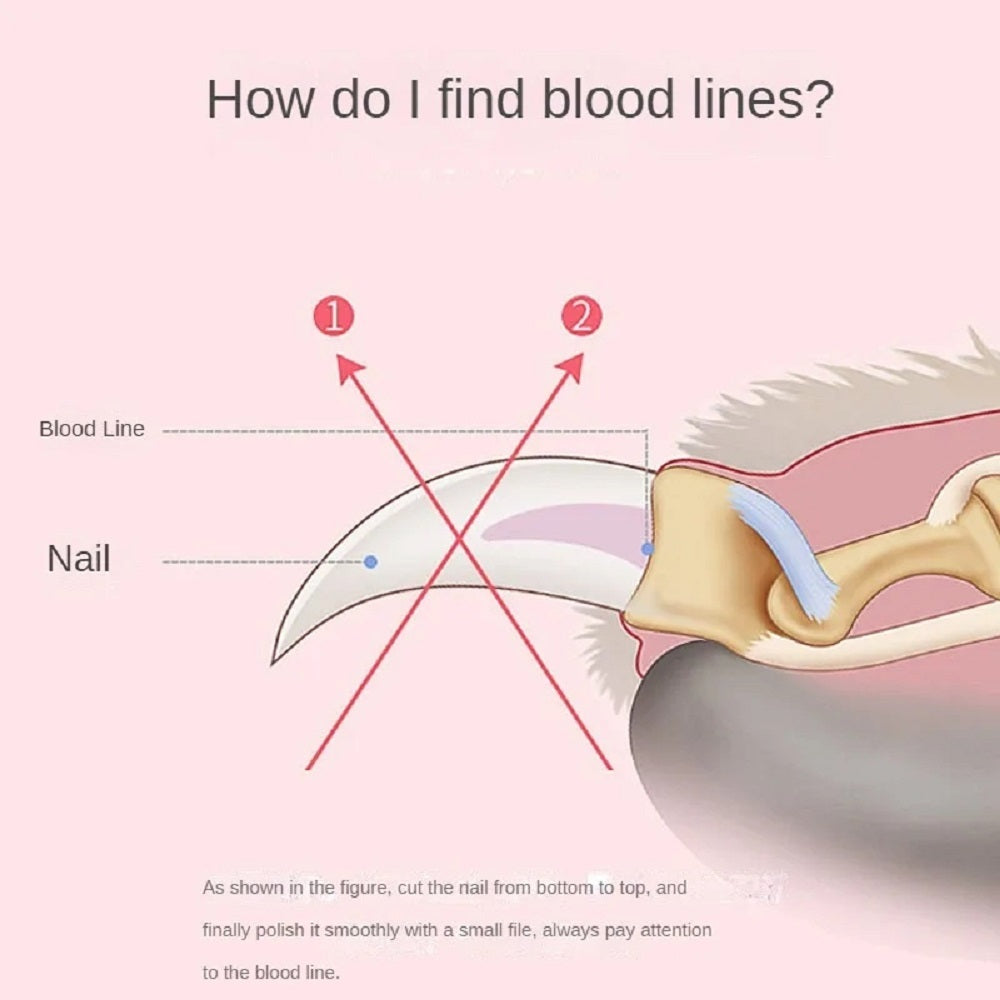 Stainless Steels Finger Cutter For Dog And Cat